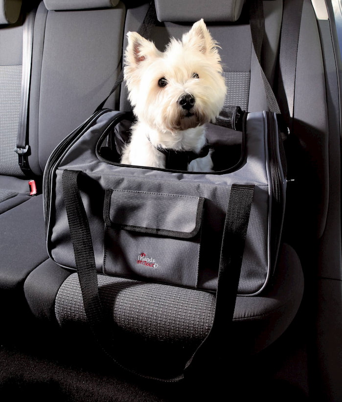 dog inside the car in portable dog carrier