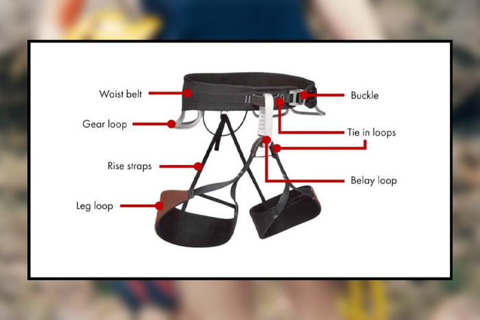 Parts-of-the-Climbing-Harness