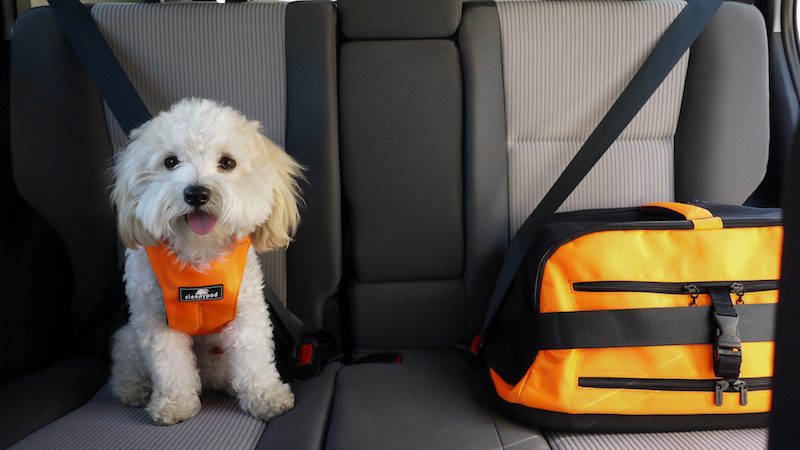 dog travel seat belt